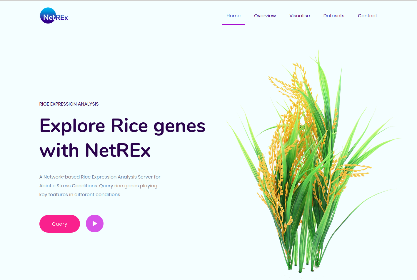 NetREx